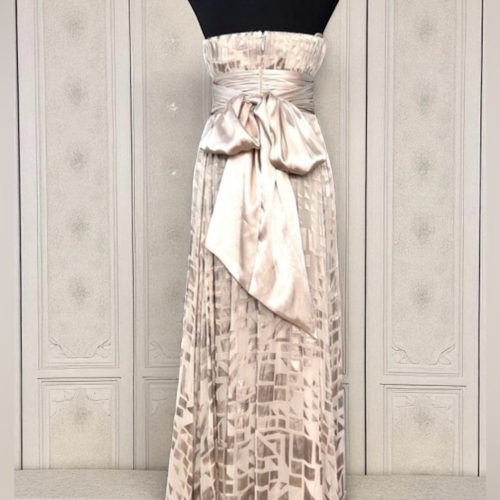NWT - BCBGMaxAzria Long Chiffon Silk Flowy Silvery-Beige 
Gown - Picture 8 of 11